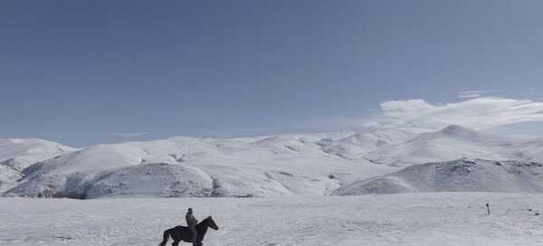 Visuel de 5 Dreamers and a Horse