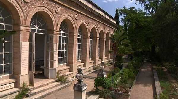 Visuel de L'Histoire extraordinaire du Jardin des plantes de Montpellier