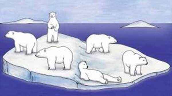 Visuel de Bears on Ice